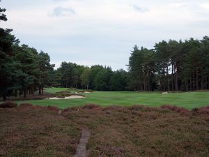 Sunningdale (Old) 12th Heather